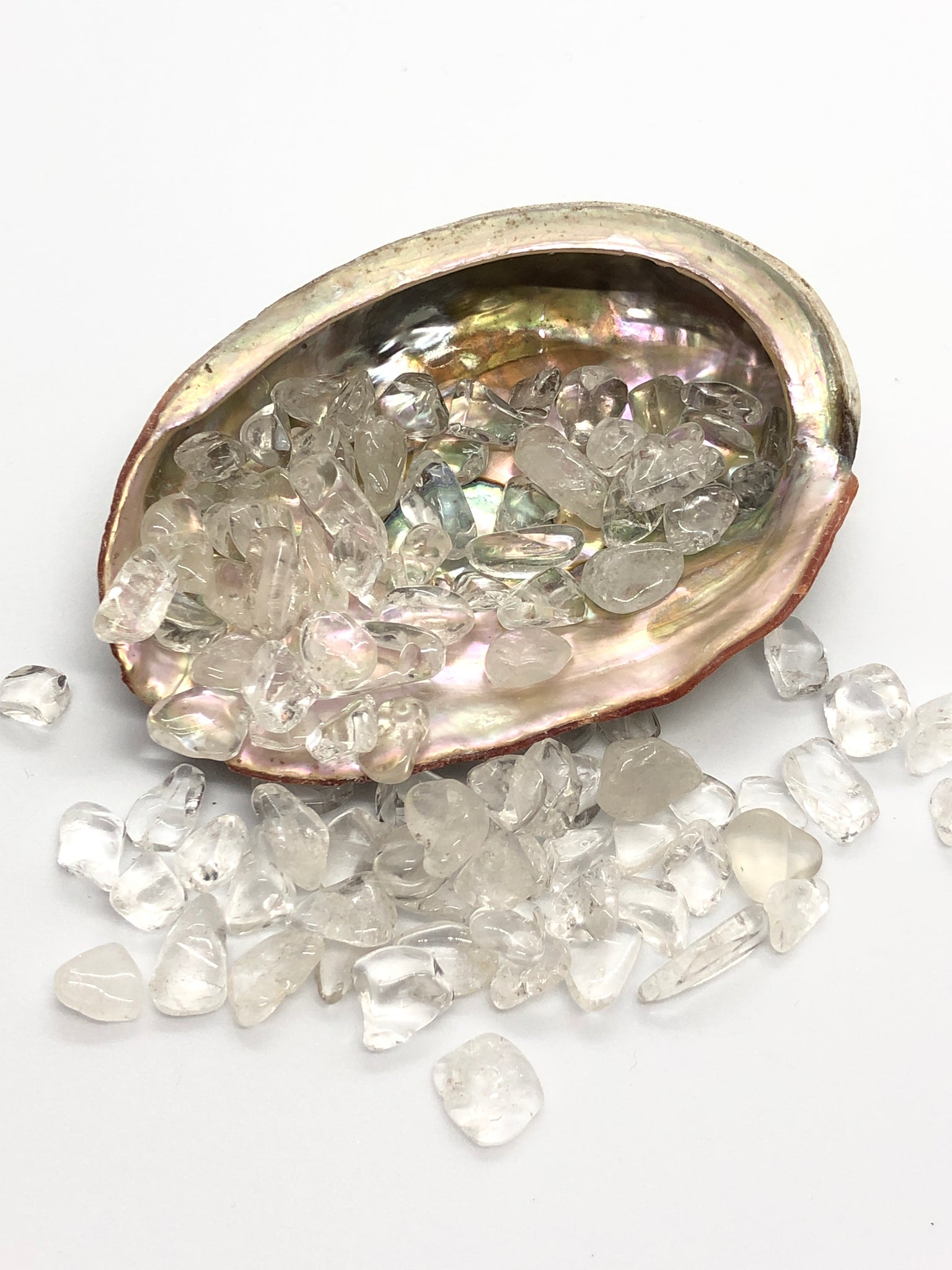 Abalone schelp gevuld met bergkristal